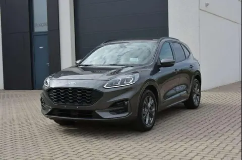 Used FORD KUGA Hybrid 2021 Ad Belgium