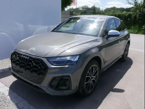 Used AUDI SQ5 Diesel 2024 Ad 