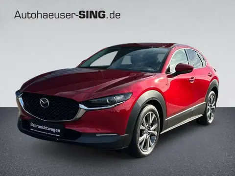 Annonce MAZDA CX-30 Essence 2019 d'occasion 