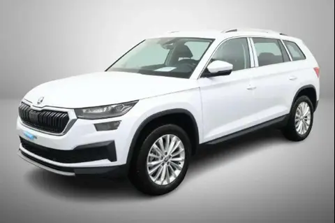 Used SKODA KODIAQ Petrol 2024 Ad 