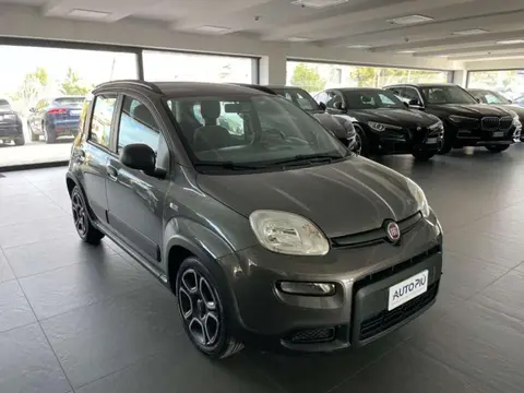 Used FIAT PANDA Hybrid 2022 Ad 