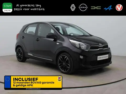 Annonce KIA PICANTO Essence 2019 d'occasion 