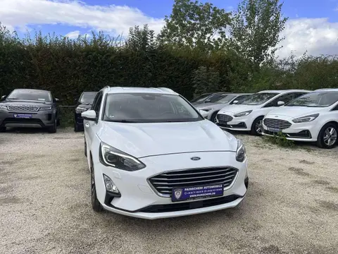 Annonce FORD FOCUS Diesel 2020 d'occasion 