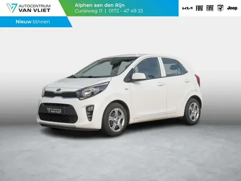 Used KIA PICANTO Petrol 2019 Ad 