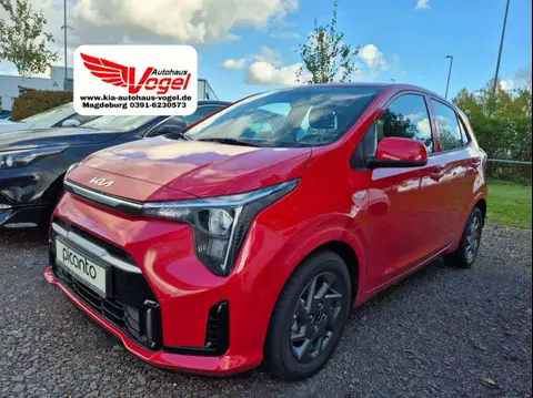 Used KIA PICANTO Petrol 2024 Ad 