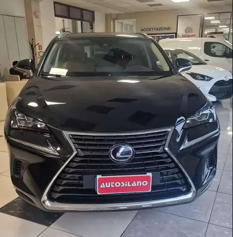 Annonce LEXUS NX Hybride 2020 d'occasion 