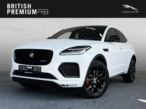 Used JAGUAR E-PACE Diesel 2024 Ad 