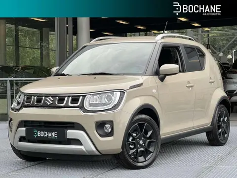 Annonce SUZUKI IGNIS Essence 2024 d'occasion 