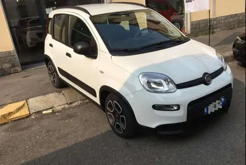 Used FIAT PANDA Hybrid 2024 Ad 