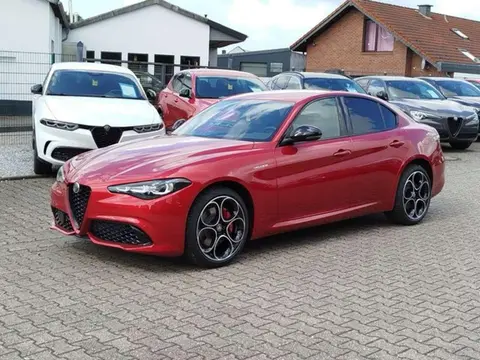 Used ALFA ROMEO GIULIA Petrol 2024 Ad 