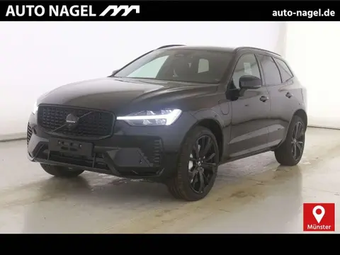 Used VOLVO XC60 Hybrid 2024 Ad 