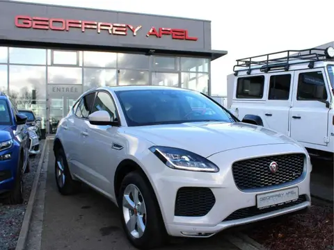 Used JAGUAR E-PACE Diesel 2020 Ad 