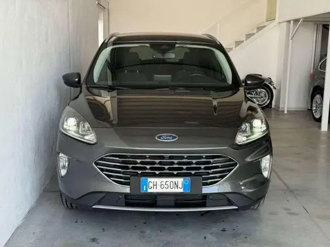 Used FORD KUGA Diesel 2021 Ad 