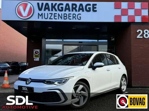 Used VOLKSWAGEN GOLF Hybrid 2020 Ad 