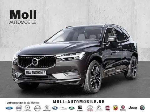 Used VOLVO XC60 Petrol 2019 Ad 