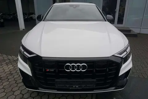 Used AUDI SQ8 Diesel 2019 Ad 