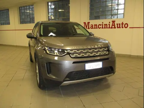 Used LAND ROVER DISCOVERY Hybrid 2020 Ad 