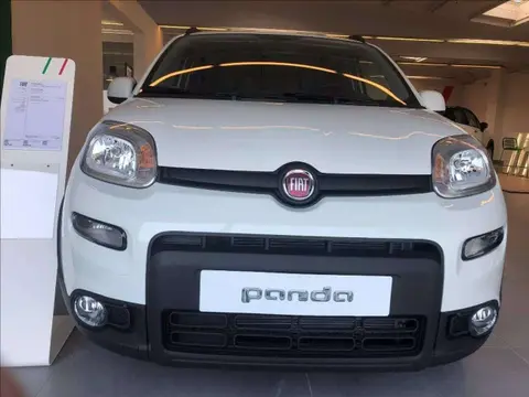 Used FIAT PANDA LPG 2024 Ad 