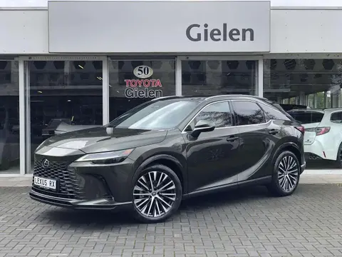 Annonce LEXUS RX Hybride 2023 d'occasion 