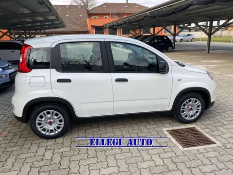 Annonce FIAT PANDA Hybride 2024 d'occasion 