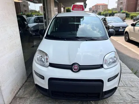 Used FIAT PANDA Hybrid 2024 Ad 