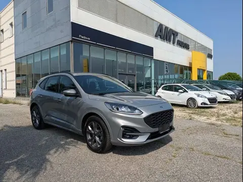 Annonce FORD KUGA Diesel 2022 d'occasion 