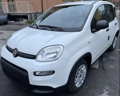 Annonce FIAT PANDA Hybride 2024 d'occasion 