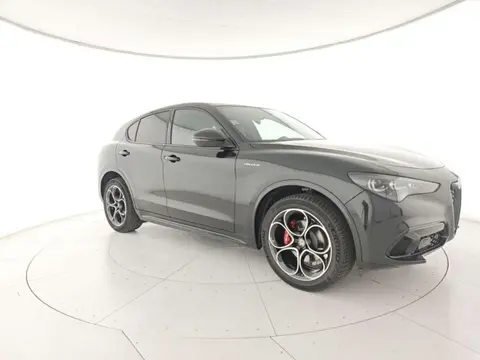 Used ALFA ROMEO STELVIO Diesel 2024 Ad 