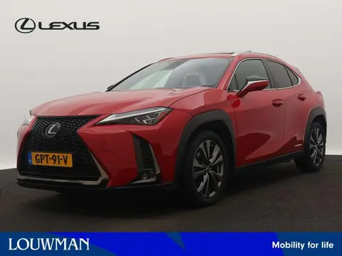 Used LEXUS UX Hybrid 2020 Ad 