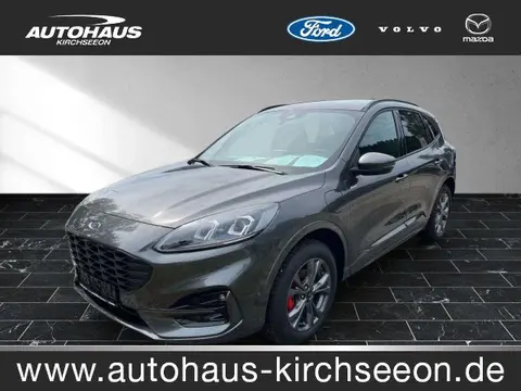 Used FORD KUGA Hybrid 2024 Ad 