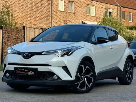 Used TOYOTA C-HR Hybrid 2019 Ad 