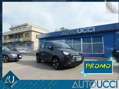 Used FIAT PANDA Hybrid 2023 Ad 