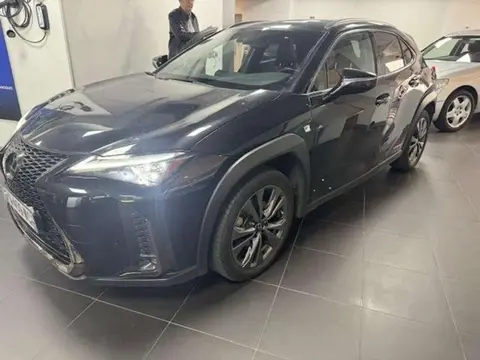 Used LEXUS UX Hybrid 2020 Ad 