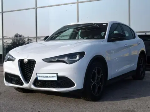 Annonce ALFA ROMEO STELVIO Diesel 2023 d'occasion 