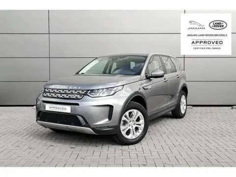 Annonce LAND ROVER DISCOVERY Diesel 2020 d'occasion 