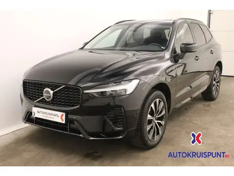 Annonce VOLVO XC60 Hybride 2023 d'occasion Belgique