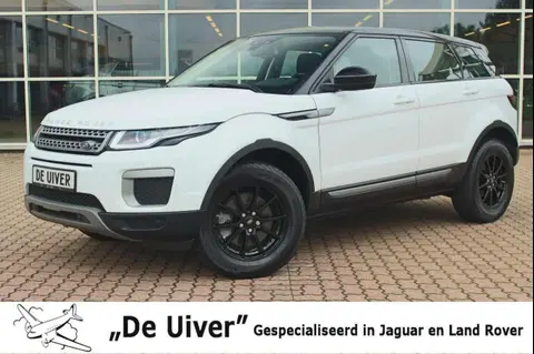 Used LAND ROVER RANGE ROVER EVOQUE Diesel 2016 Ad 