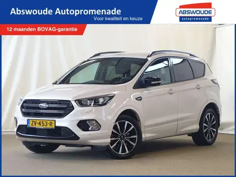 Used FORD KUGA Petrol 2019 Ad 