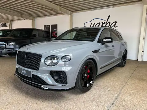 Used BENTLEY BENTAYGA Petrol 2024 Ad 