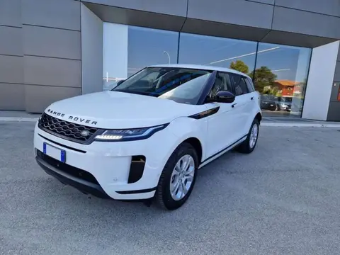 Used LAND ROVER RANGE ROVER EVOQUE Diesel 2021 Ad 