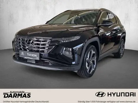 Used HYUNDAI TUCSON Hybrid 2024 Ad 