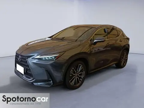 Annonce LEXUS NX Hybride 2023 d'occasion 