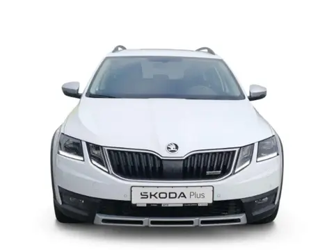 Used SKODA OCTAVIA Petrol 2018 Ad 