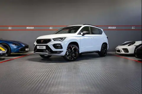 Annonce CUPRA ATECA Essence 2024 d'occasion 