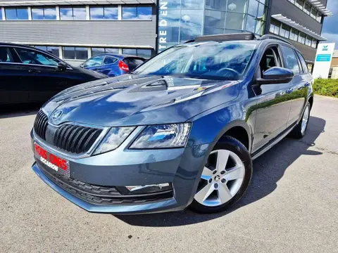 Annonce SKODA OCTAVIA Diesel 2019 d'occasion 