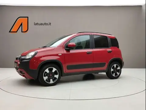 Annonce FIAT PANDA Hybride 2024 d'occasion 