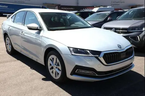 Annonce SKODA OCTAVIA Essence 2024 d'occasion 