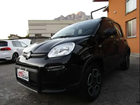 Annonce FIAT PANDA Essence 2021 d'occasion 