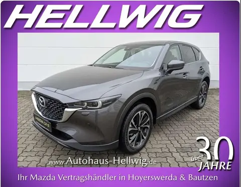 Annonce MAZDA CX-5 Essence 2024 d'occasion 