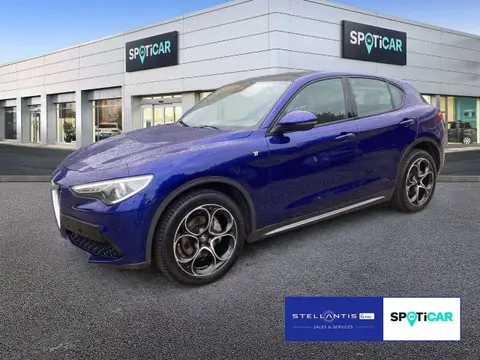 Used ALFA ROMEO STELVIO Petrol 2023 Ad 